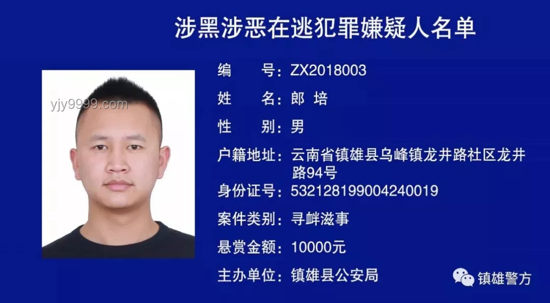 **全球联合通缉逃犯节目的应对策略**